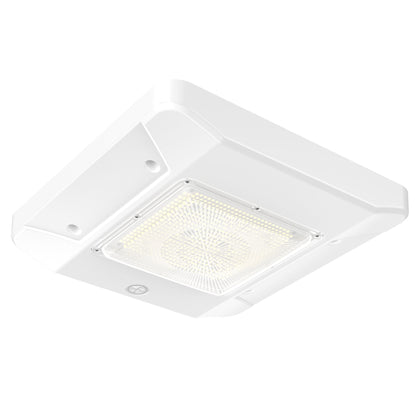 FuelLite Series LED Gas Station Canopy Lights