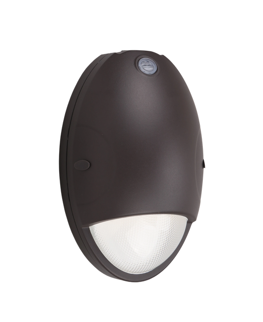 PicoGuard Series LED Mini Oval Wall Pack Light Fixture